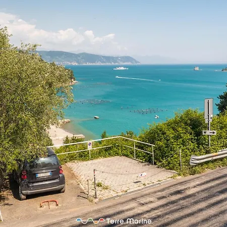 Torre Scola, Terre Marine *
